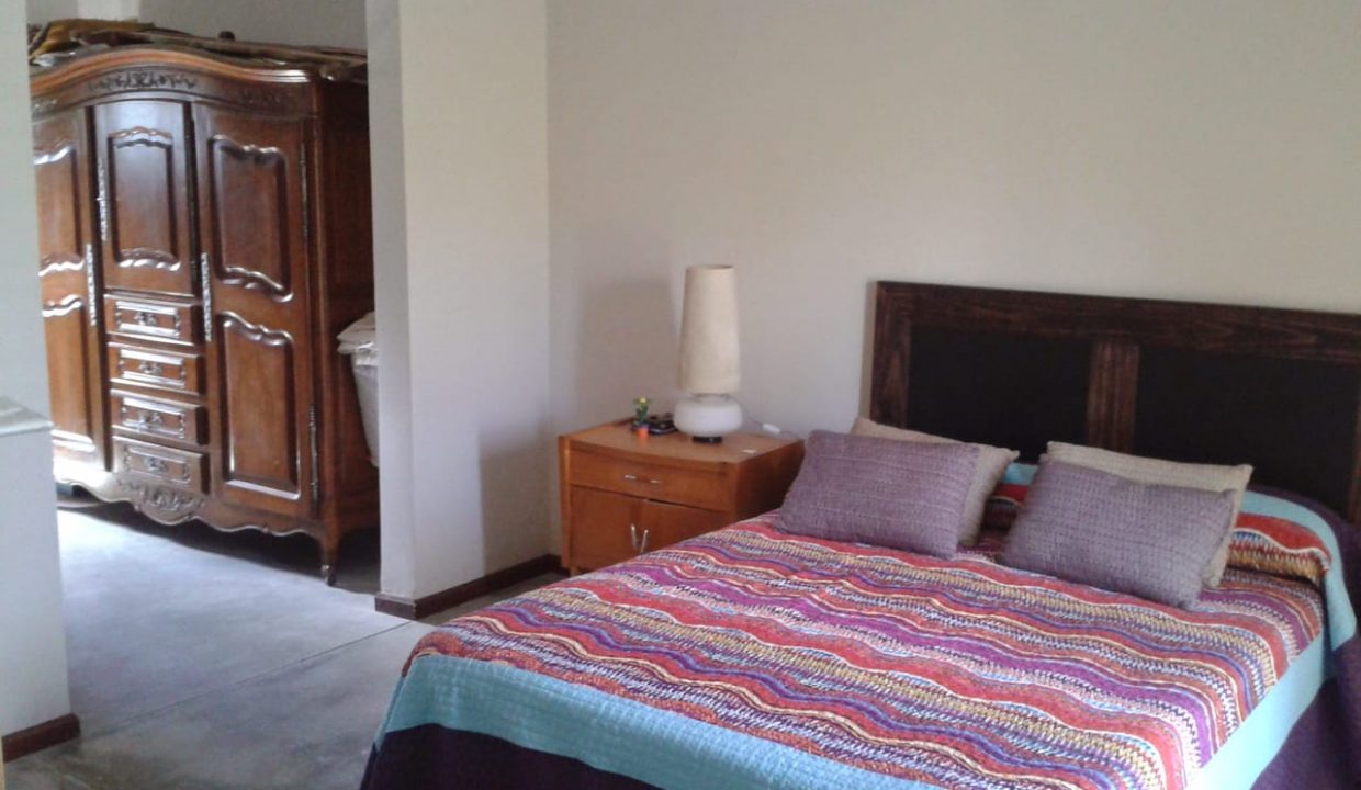 IMG-20200729-WA0004