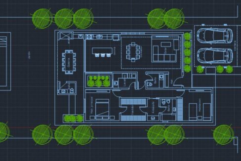 planta